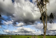 天涯论坛杂谈社区：网友们的吐槽和分享天堂！